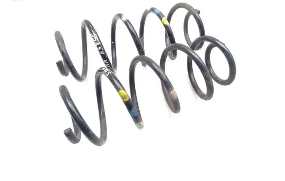 Rear coil spring