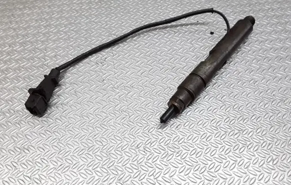 Renault Kangoo I Fuel injector 8200047506