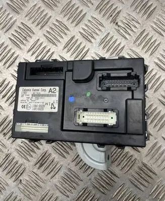 Nissan Juke I F15 Other control units/modules 116RAI000258 116RI000259