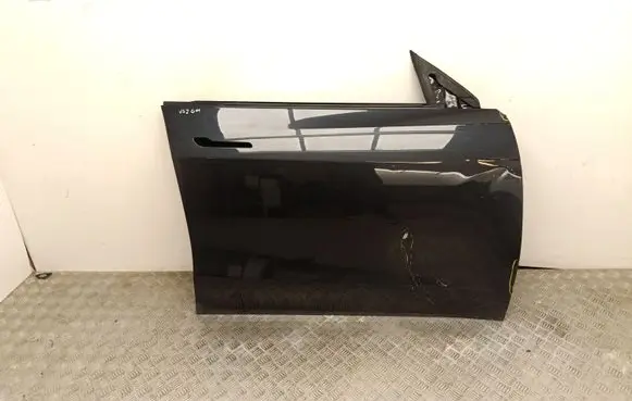 Tesla Model Y Juniper Front door