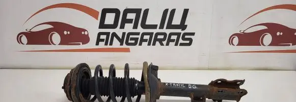 Nissan X-Trail T30 Rear shock absorber with coil spring XTRA1LDG