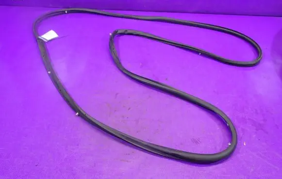 Opel Adam Front door rubber seal 13350527
