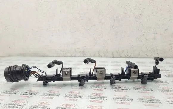 Volkswagen PASSAT B6 Fuel injector wires