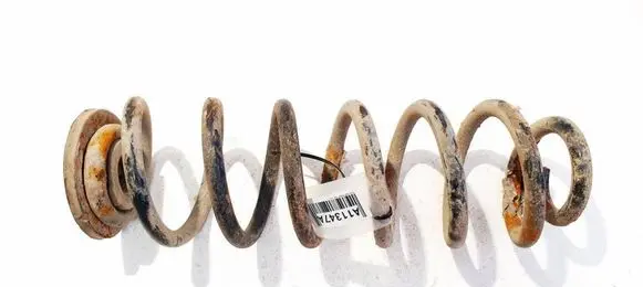 Volkswagen PASSAT B6 Rear coil spring