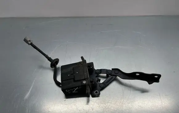 Hyundai Santa Fe Engine bonnet/hood hinges 791502W000