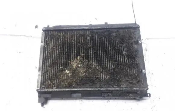 Honda Accord Coolant radiator