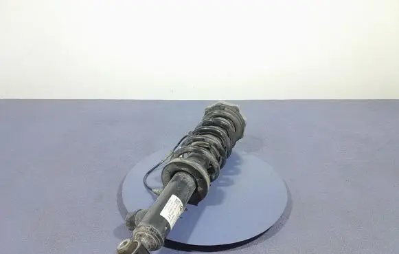 BMW X3 E83 Rear shock absorber/damper 6887152