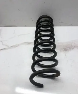 Volkswagen PASSAT B5.5 Rear coil spring