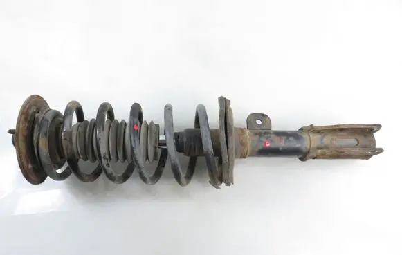 Opel Antara Front shock absorber with coil spring 