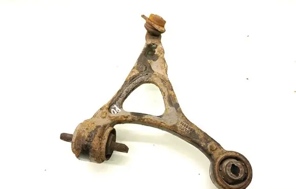 Front lower control arm/wishbone