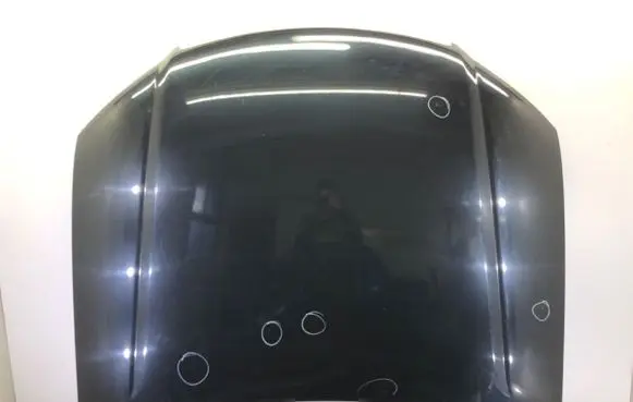 Engine bonnet/hood