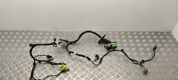 Peugeot 3008 II Front door wiring loom 9837475580