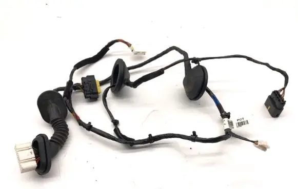 Hyundai Santa Fe Rear door wiring loom 91660-2W071