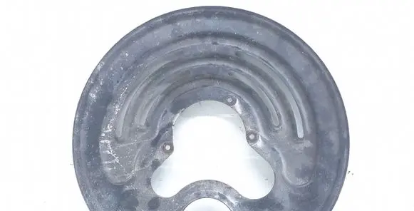 Renault Trafic II (X83) Rear brake disc plate dust cover 8200741199 93860866