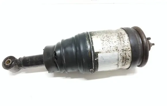 Land Rover Range Rover Sport L320 Air suspension front shock absorber CJ3VA 3498610