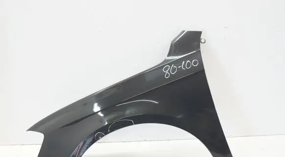 Volkswagen PASSAT B7 Fender B7270426BLP