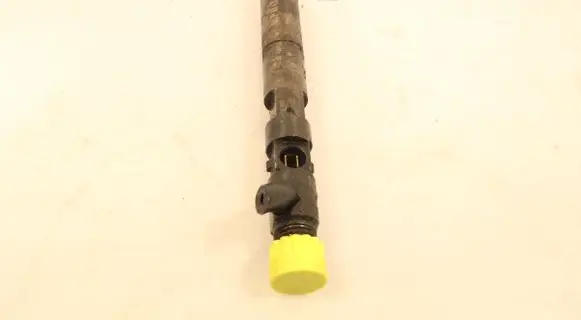 Renault Kangoo I Fuel injector EJBR04001D