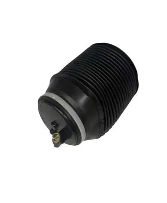 Toyota Land Cruiser (J150) Air suspension rear shock absorber 4808060010