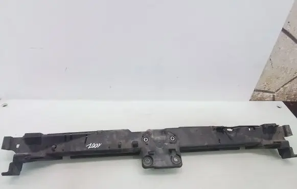 Peugeot 1007 Radiator support slam panel 9646174680