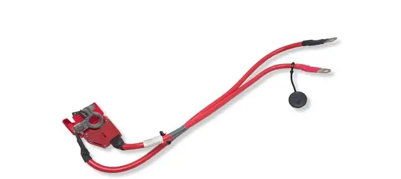 BMW 2 F22 F23 Positive cable (battery) 10304410