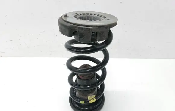 Rear coil spring