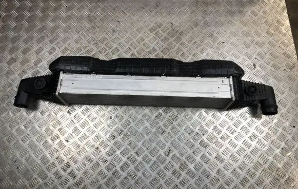 KIA Stinger Intercooler radiator 282703L210