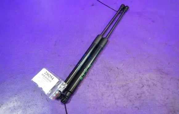 Tailgate strut
