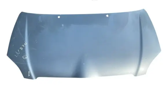 Engine bonnet/hood