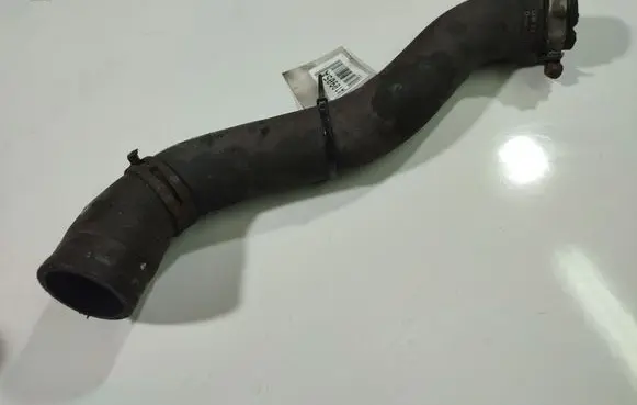 Opel Signum Engine coolant pipe/hose