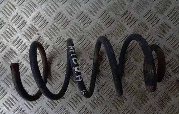 Rear coil spring