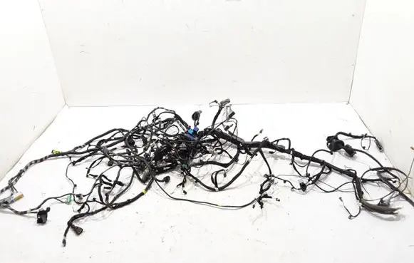 Renault Scenic IV - Grand scenic IV Other wiring loom 241633079R