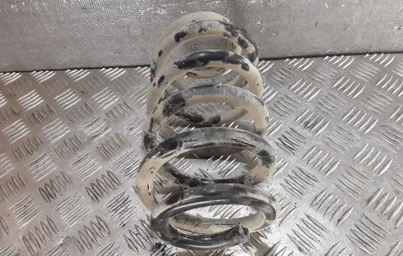 Audi A4 S4 B6 8E 8H Rear coil spring