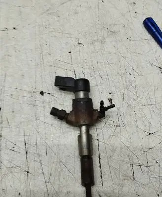 Ford Fusion Fuel injector