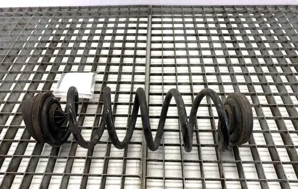 Rear coil spring