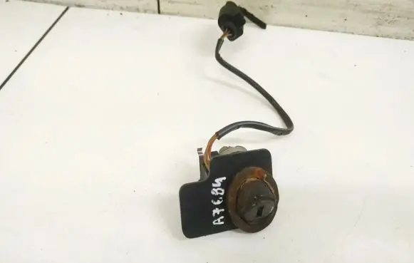 Volkswagen PASSAT B5.5 Tailgate exterior lock 
