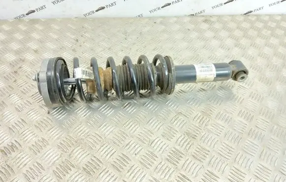 BMW X3 F25 Rear shock absorber with coil spring 6796317