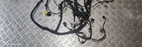 Engine installation wiring loom