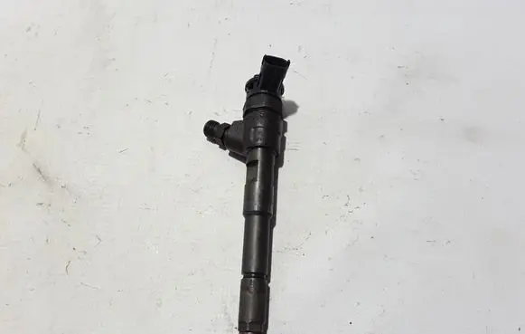 Mercedes-Benz Citan W415 Fuel injector 8201108033
