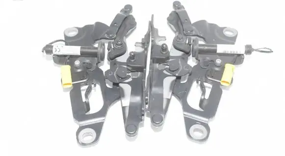 BMW 6 F06 Gran coupe Engine bonnet/hood hinges 7249888 7249887 7263055