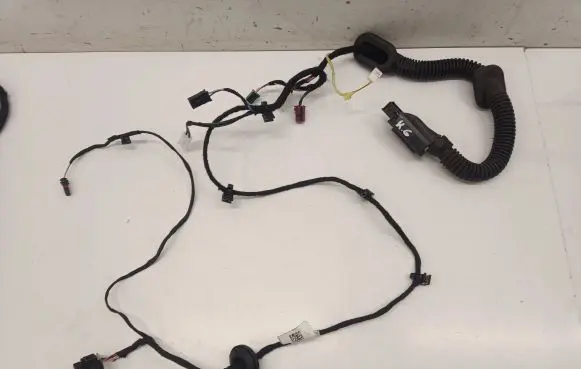 Rear door wiring loom