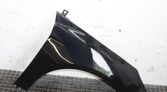 Ford Focus Fender