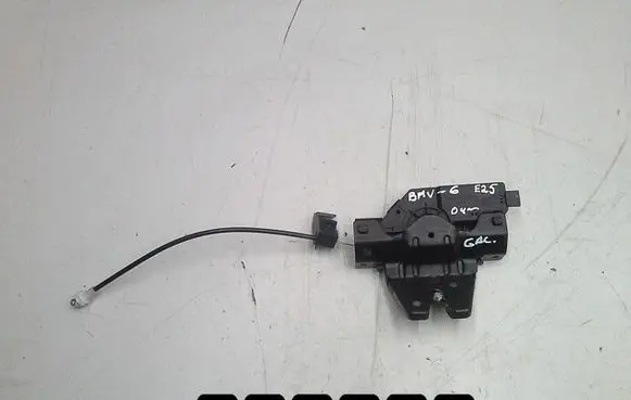 BMW 6 E63 E64 Front door lock 8196401