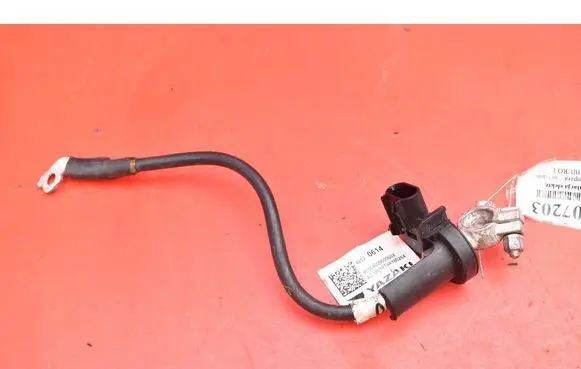 Opel Ampera Other wiring loom 42520614