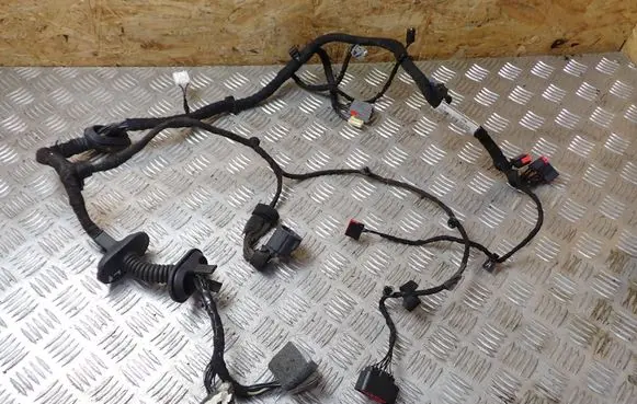 Jaguar XF X250 Front door wiring loom/harness boot DX2314B121 50024151