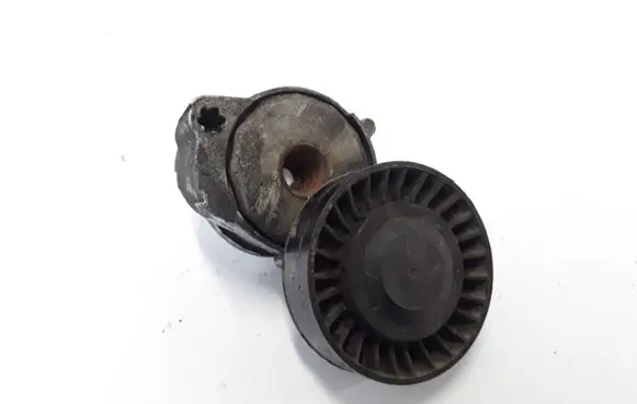 Volvo S60 Timing belt/chain tensioner 31258153