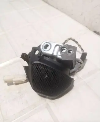 Front door high frequency speaker