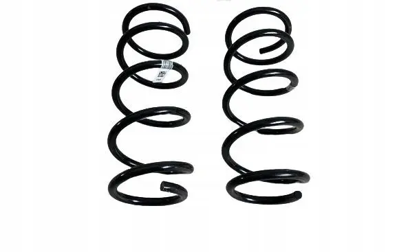 Ford Focus Rear coil spring JX615560TAB