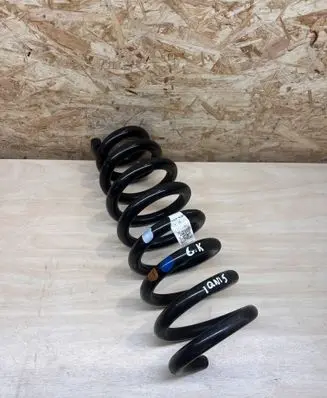 Rear coil spring