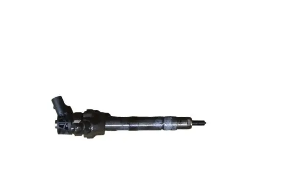 BMW X1 E84 Fuel injector 044510617 7810702
