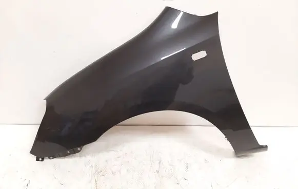 KIA Carens II Fender